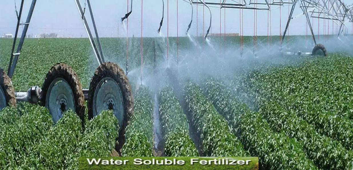 Water-Soluble Fertilizers.jpg