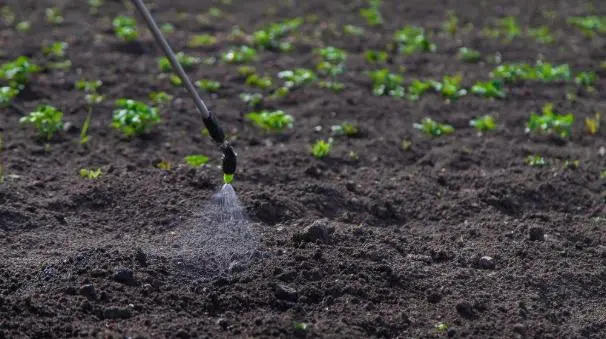 Water-Soluble Fertilizers(2).jpg